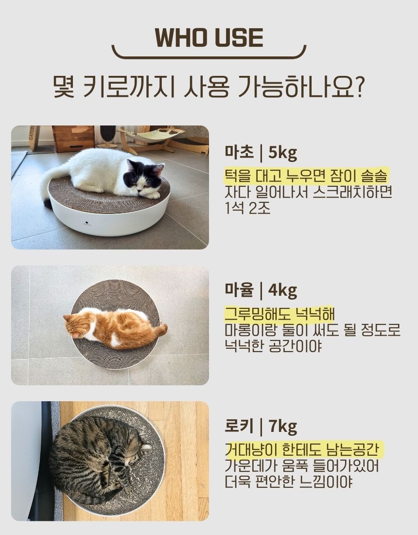 [무료배송] 가또블랑코 피타서클 고양이 50cm 대형 스크레쳐 장난감 10번째
