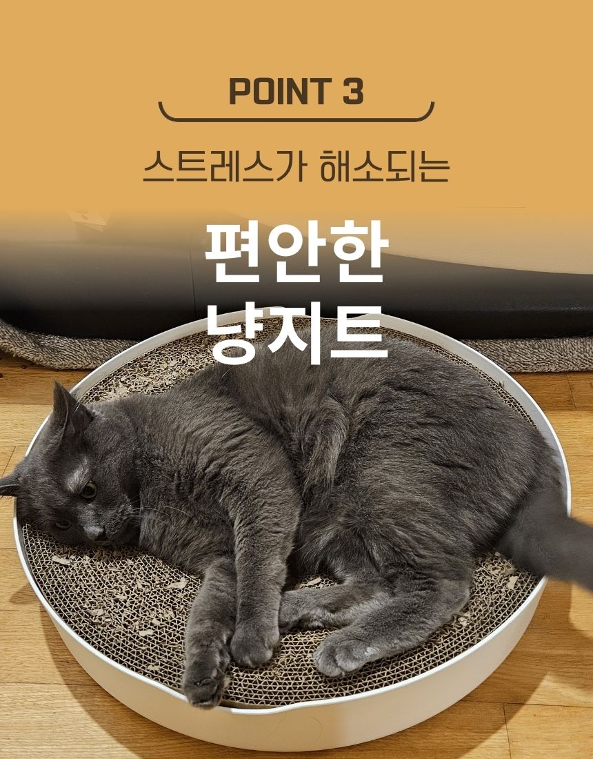 [무료배송] 가또블랑코 피타서클 고양이 50cm 대형 스크레쳐 장난감 6번째