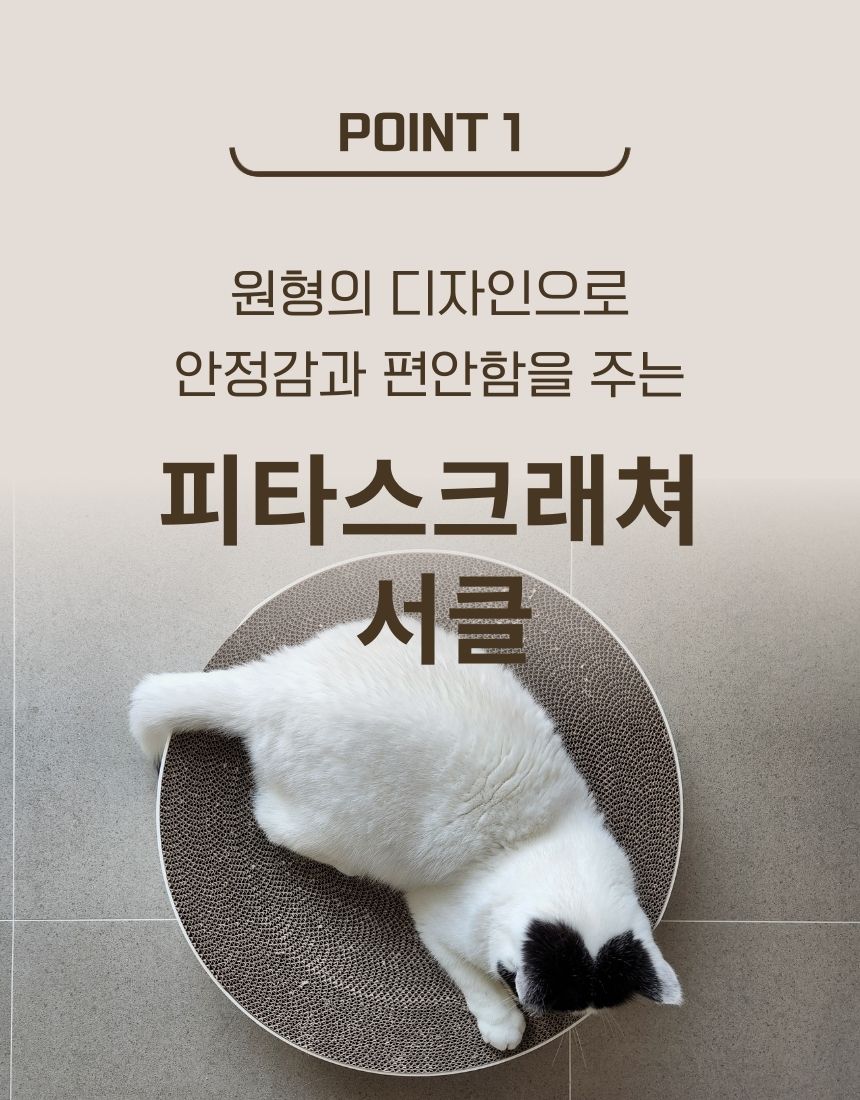 [무료배송] 가또블랑코 피타서클 고양이 50cm 대형 스크레쳐 장난감 4번째