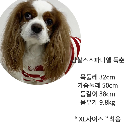 [무료배송] 해피댕댕 크레용카라맨투맨 S - XL 18번째