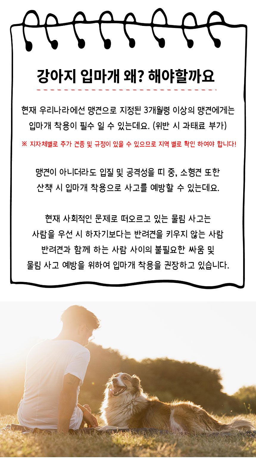 [NEW신상][무료배송] 오늘멍냥 메쉬 입마개 2번째