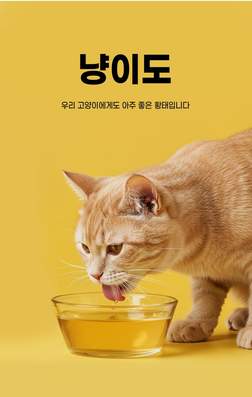 [무료배송] 더보양 보양황차 대용량 40ml*30p 5번째