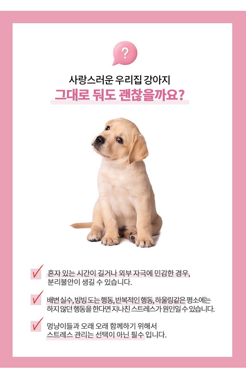 [무료배송] 멍비상 독 시크릿케어 분리불안&스트레스완화 50정 7번째
