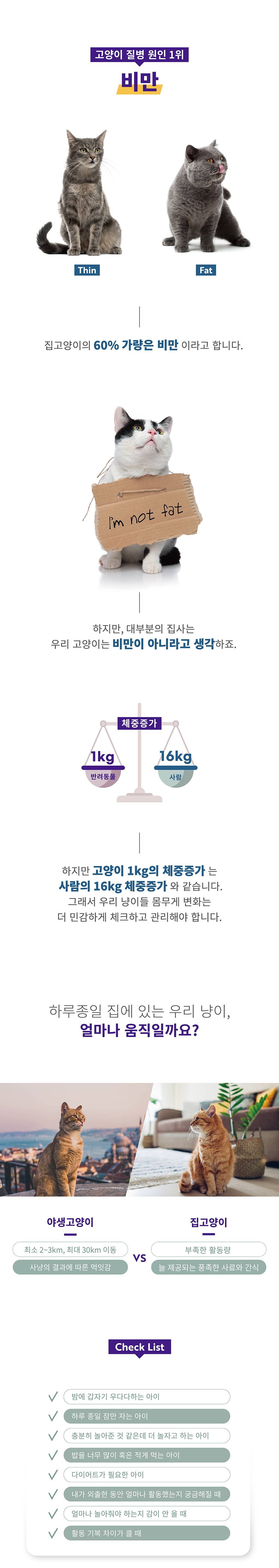 [무료배송] CATMOS 웨어러블 스마트워치 2번째