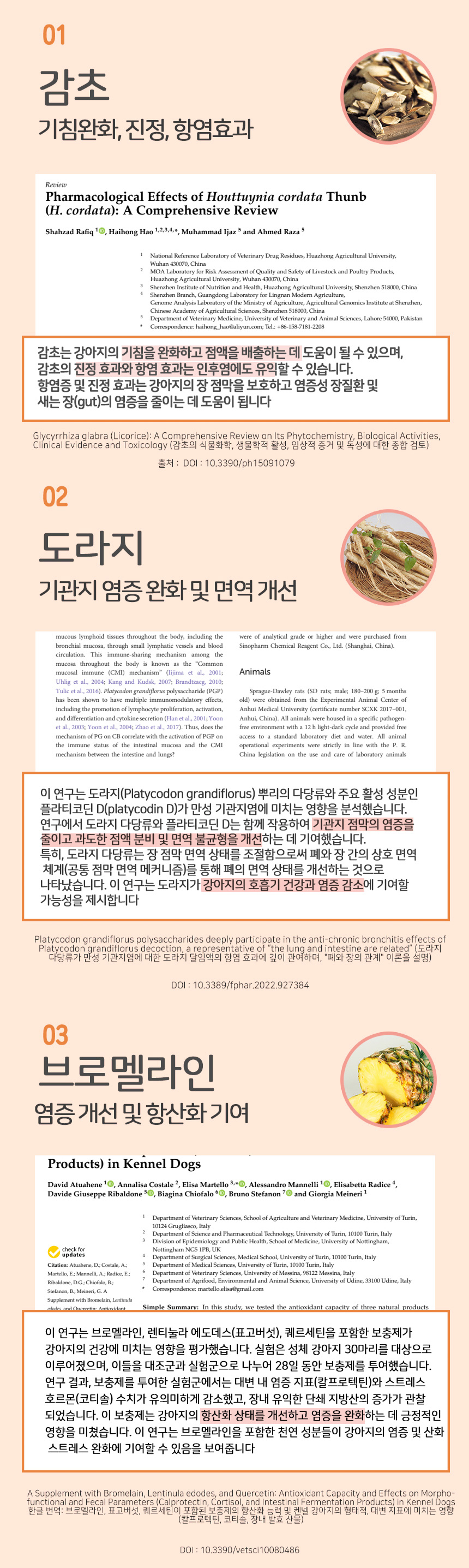 [무료배송] 누터스가든 바이탈 기관지 호흡 영양제 120g 4번째