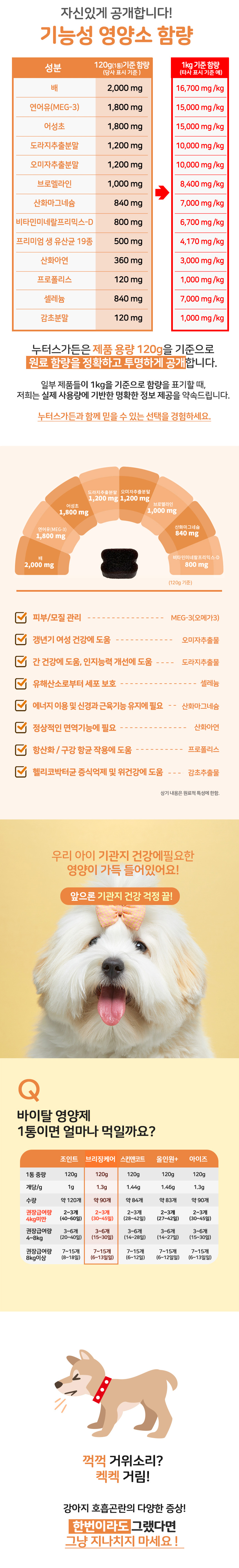 [무료배송] 누터스가든 바이탈 기관지 호흡 영양제 120g 2번째
