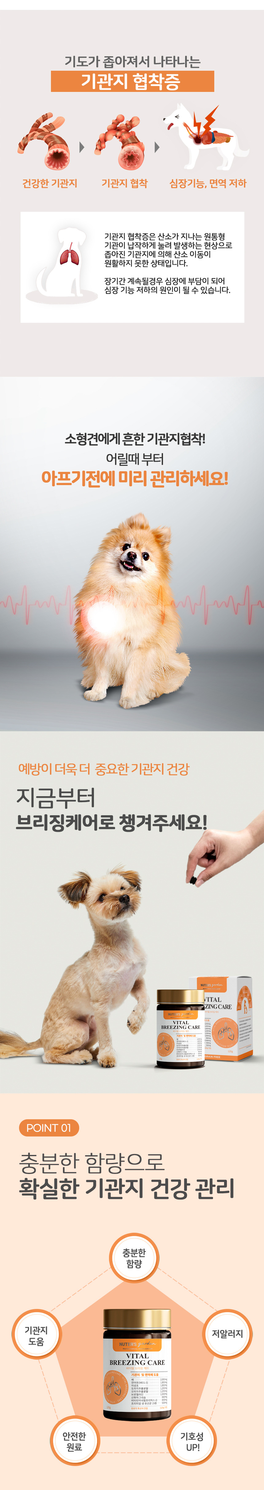 [무료배송] 누터스가든 바이탈 기관지 호흡 영양제 120g 3번째