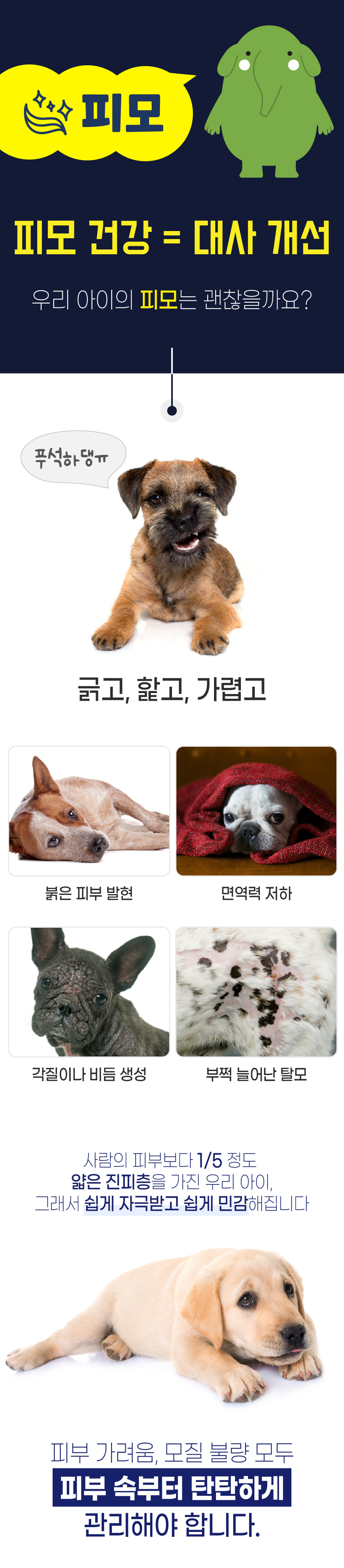 [무료배송] 벨라맥스 SBS TV 동물농장 비어헤페 강아지 피부 영양제 150g 2번째
