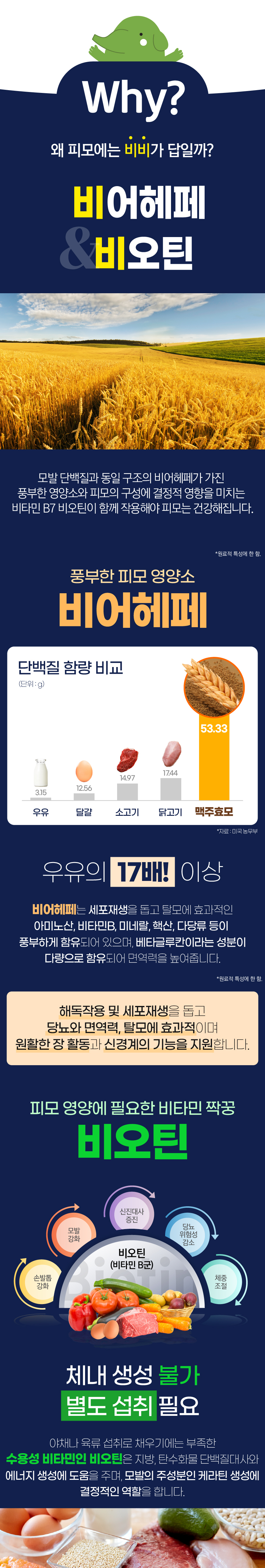 [무료배송] 벨라맥스 SBS TV 동물농장 비어헤페 강아지 피부 영양제 150g 6번째
