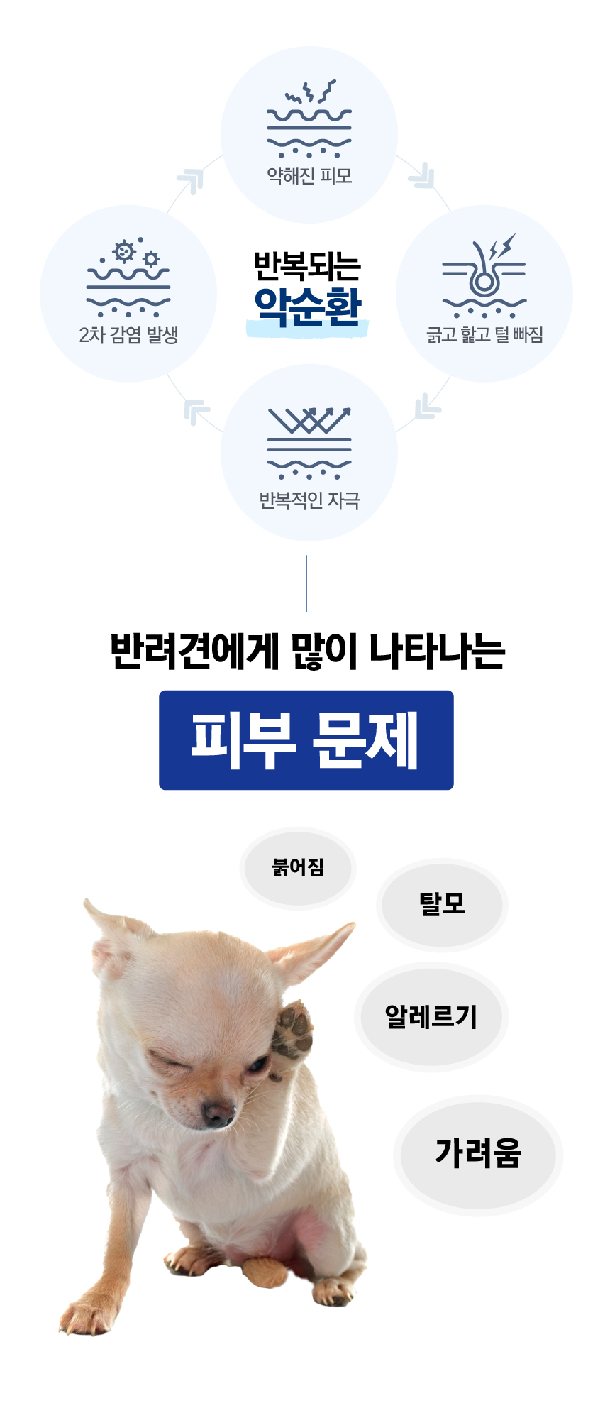 [무료배송] 벨라맥스 SBS TV 동물농장 비어헤페 강아지 피부 영양제 150g 3번째