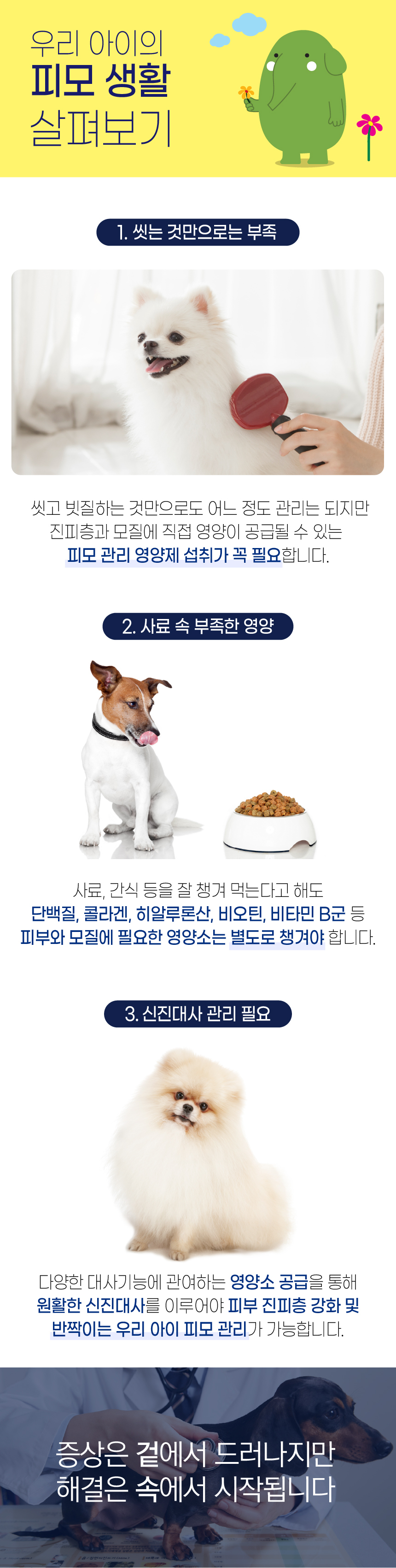 [무료배송] 벨라맥스 SBS TV 동물농장 비어헤페 강아지 피부 영양제 150g 4번째