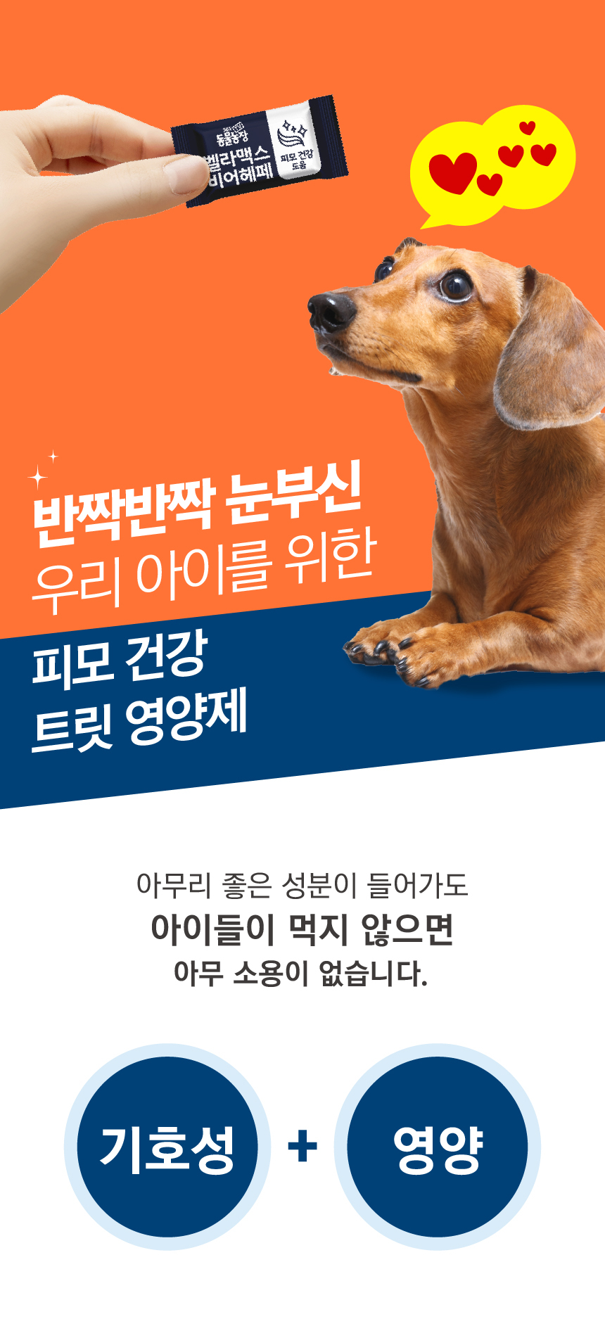 [무료배송] 벨라맥스 SBS TV 동물농장 비어헤페 강아지 피부 영양제 150g 10번째