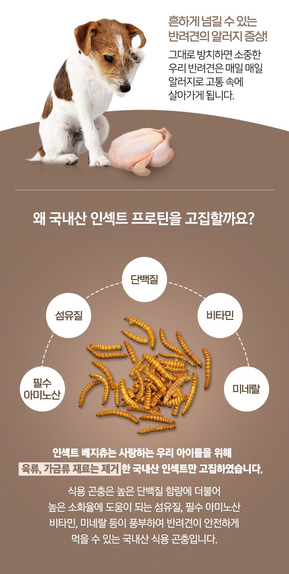 벅스펫 독 인섹트 베지츄 장건강 비트&양배추 (10개입) 7번째