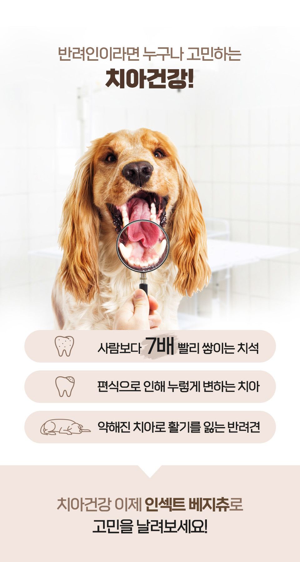 벅스펫 독 인섹트 베지츄 장건강 비트&양배추 (10개입) 5번째