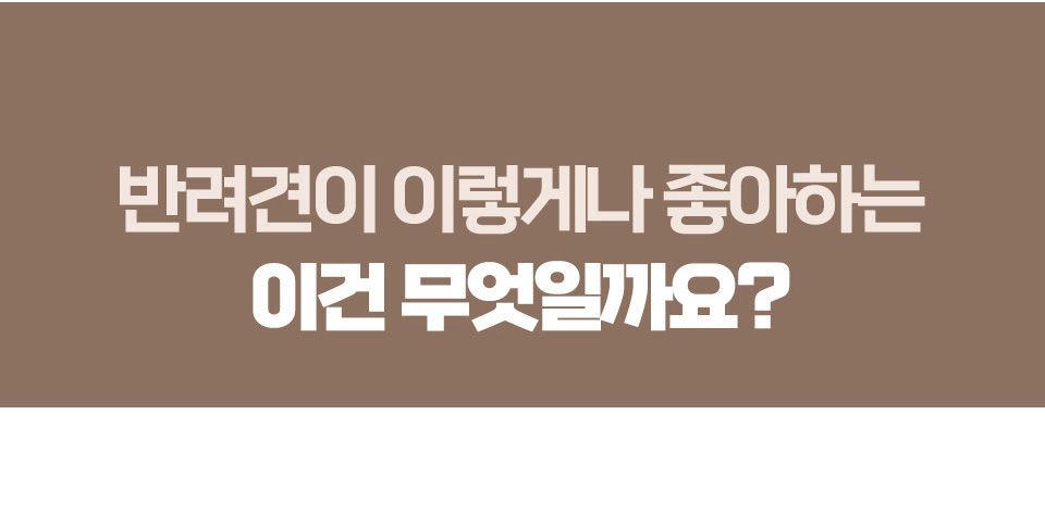 벅스펫 독 인섹트 베지츄 장건강 비트&양배추 (10개입) 3번째