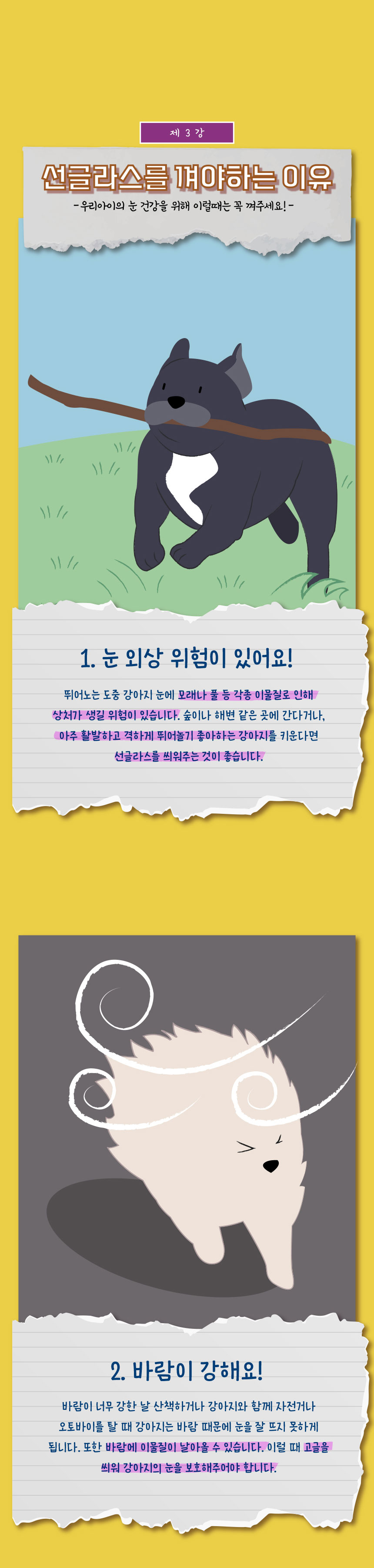 [무료배송] 애구애구 강아지 선글라스 바이크멍 고글 7번째