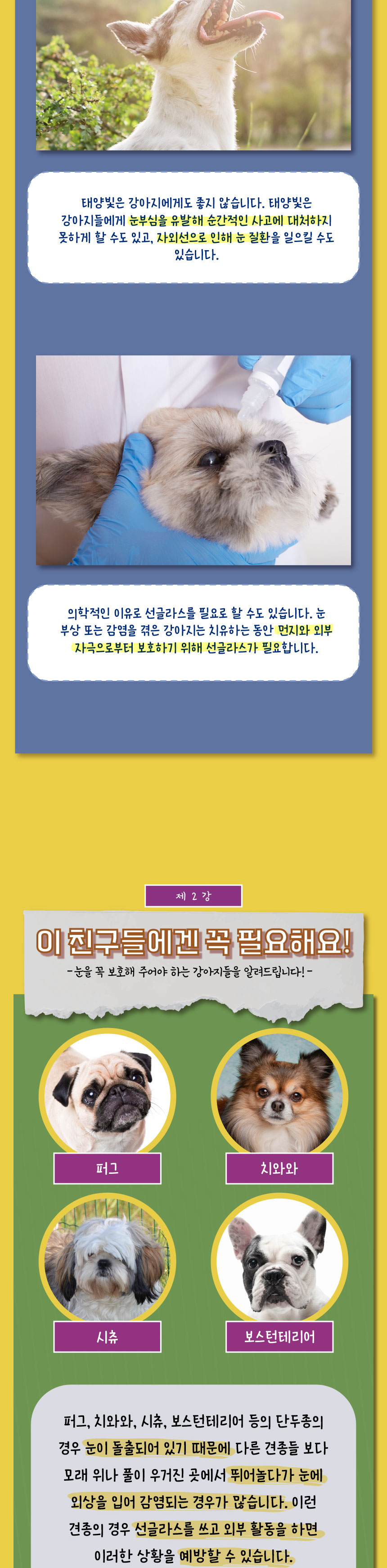 [무료배송] 애구애구 강아지 선글라스 바이크멍 고글 5번째