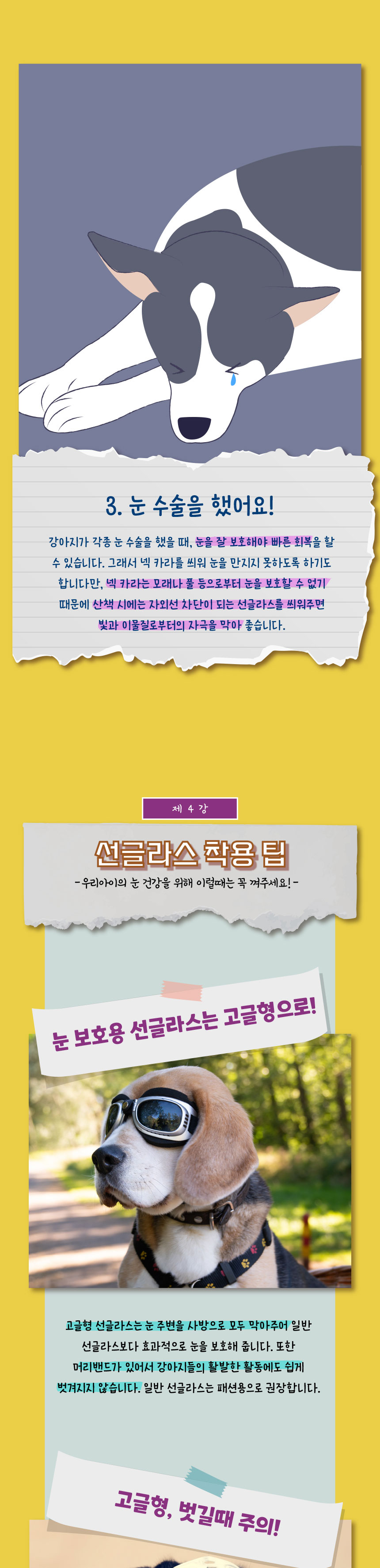 [무료배송] 애구애구 강아지 선글라스 바이크멍 고글 8번째