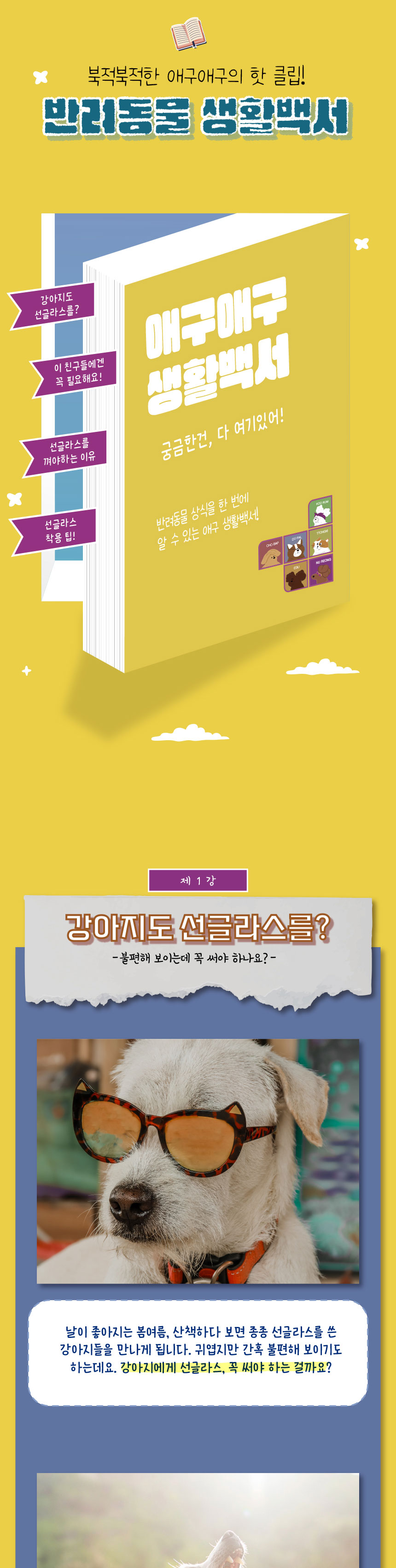 [무료배송] 애구애구 강아지 선글라스 바이크멍 고글 4번째