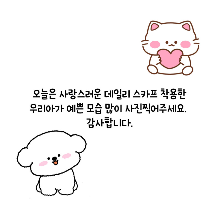 [무료배송] 까팡 오리랑 병아리 양면 스카프 인식표 XS-3XL 7번째