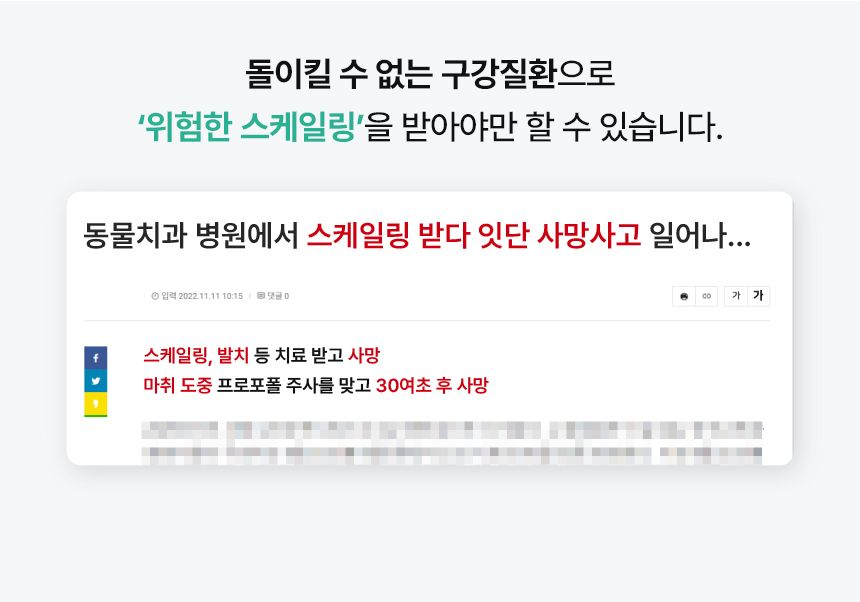 [체험단] 닥터페트라 펫즐 허니콤 오리지널 1p 15번째