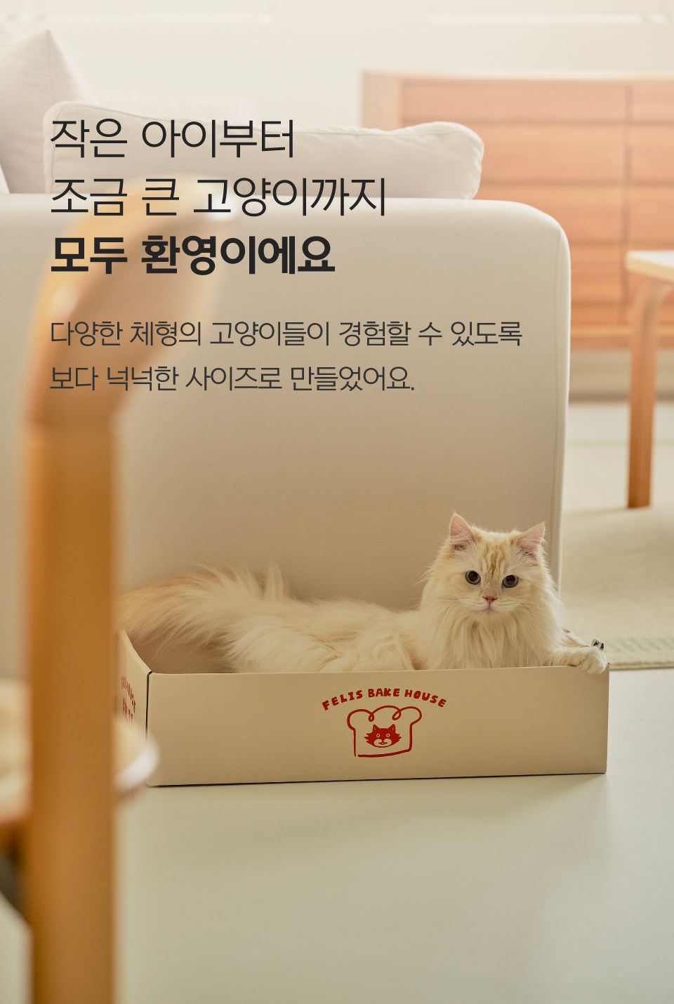 [특가할인]닥터펠리스 캣 애착박스 화이트 L 3번째