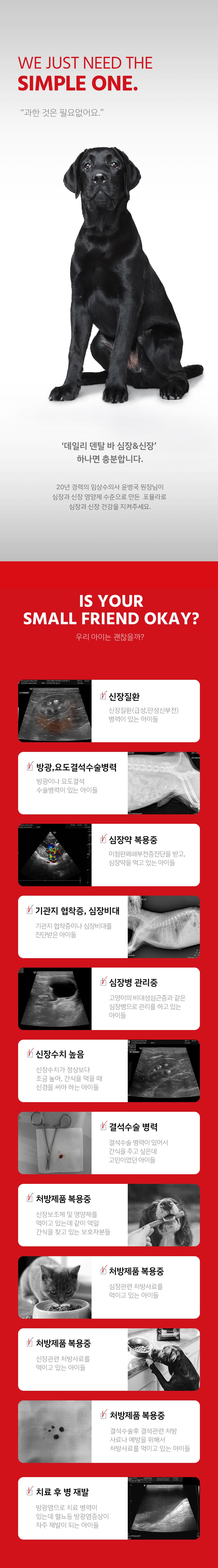메디코펫 데일리 덴탈바 레날&카디악 16g*14p 6번째