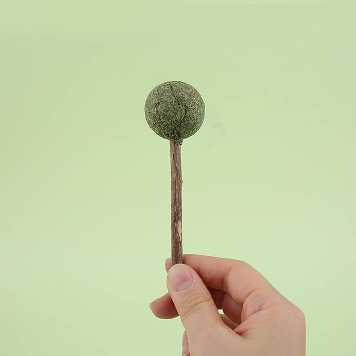 캣완트 캣닢 사탕 1번