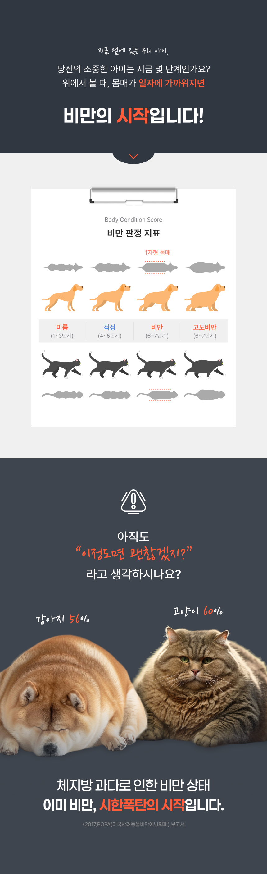 [NEW신상][무료배송] 웰찹 슬림펫 제로 체지방 케어 다이어트 보조제 30스틱 2번째