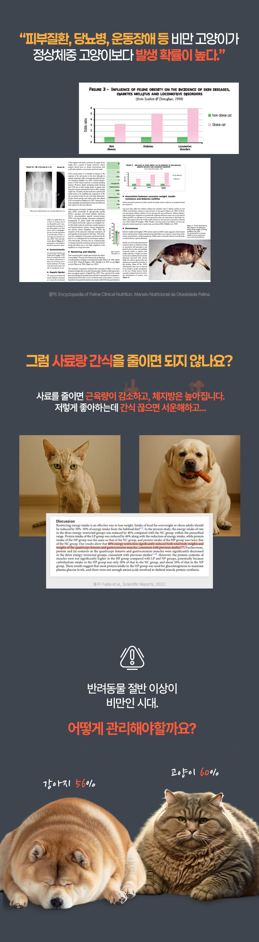 [NEW신상][무료배송] 웰찹 슬림펫 제로 체지방 케어 다이어트 보조제 30스틱 3번째