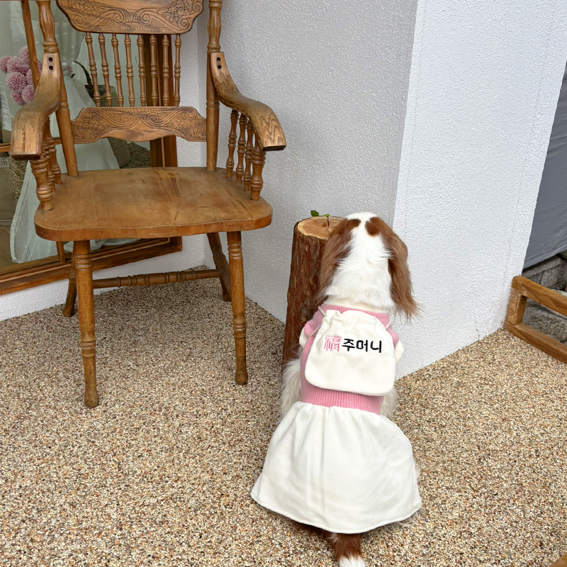 [무료배송] 해피댕댕 복주머니한복 S-2XL 11번째