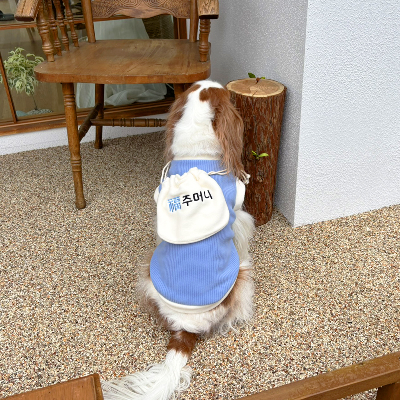 [무료배송] 해피댕댕 복주머니한복 S-2XL 7번째