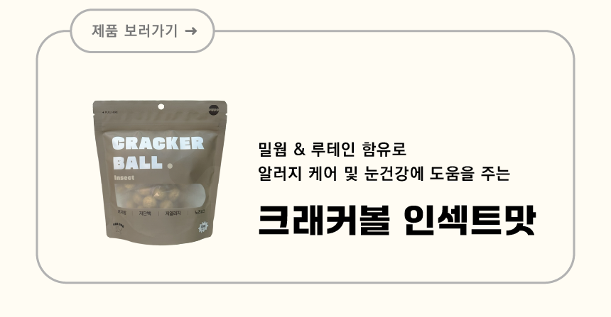 [창고대방출] 퍼프 독 크래커볼 단호박 100g 4번째