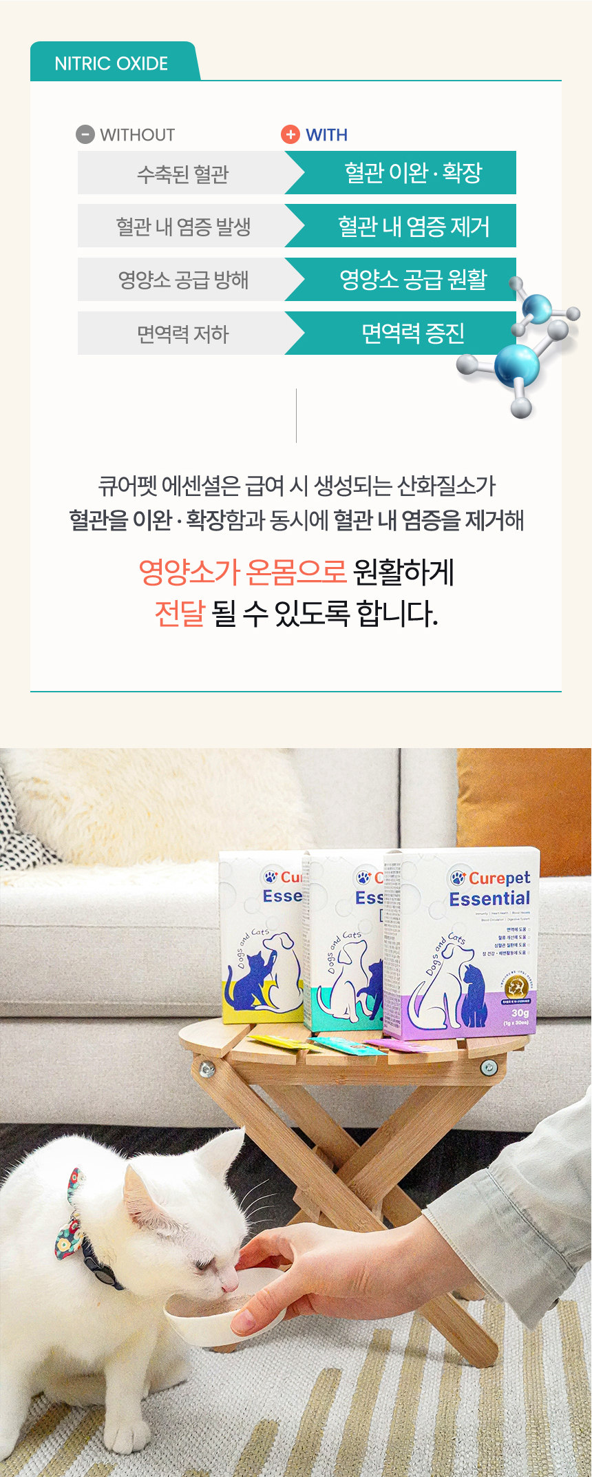 [NEW신상][무료배송] 큐어펫 피부&눈 영양제 30g 18번째