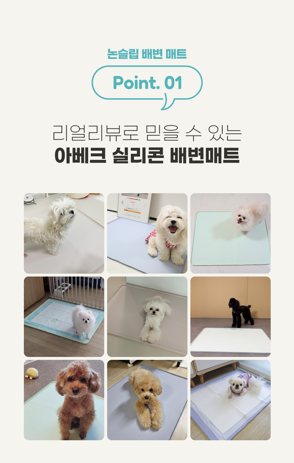 [무료배송] 아베크 논슬립 실리콘 배변매트 표준형 65x50cm 2번째