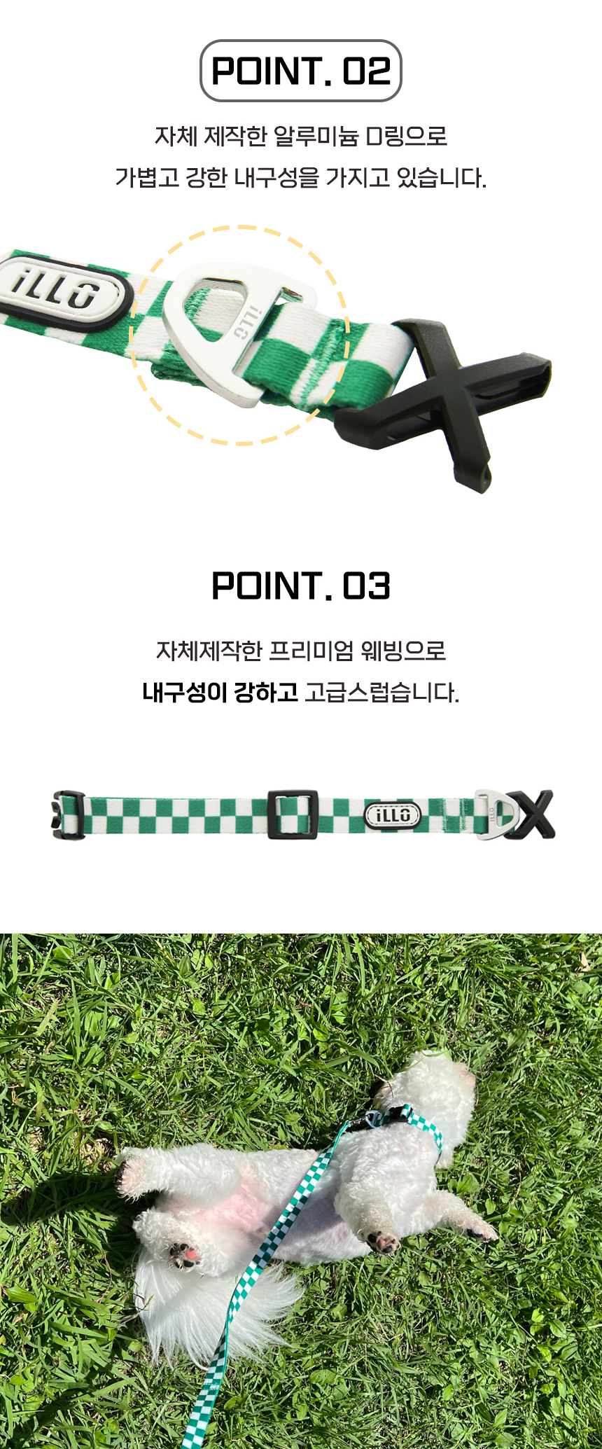 [무료배송] iLLO 텐텐 목줄 그린 S-L 4번째