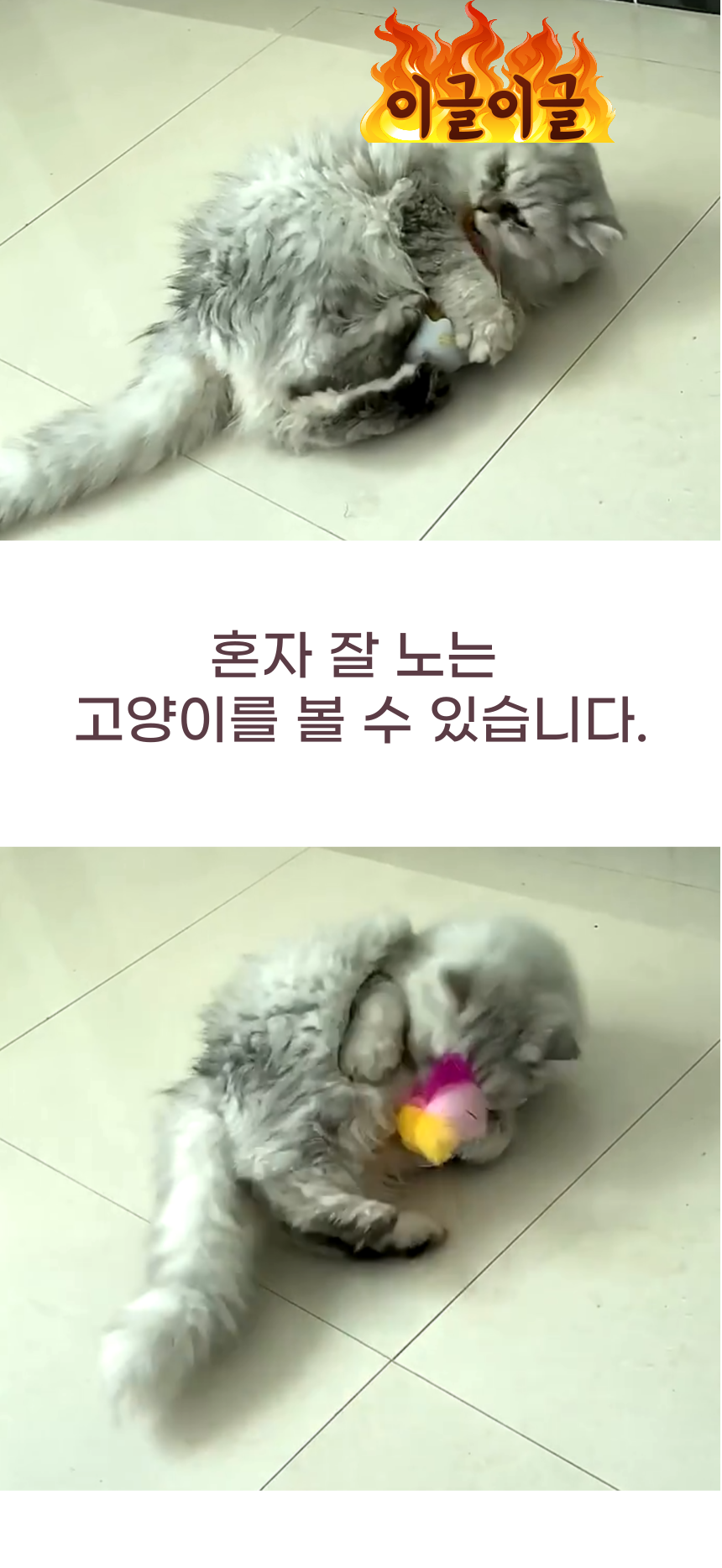 [무료배송] 알뜰펫 오뚜기 장난감 9번째