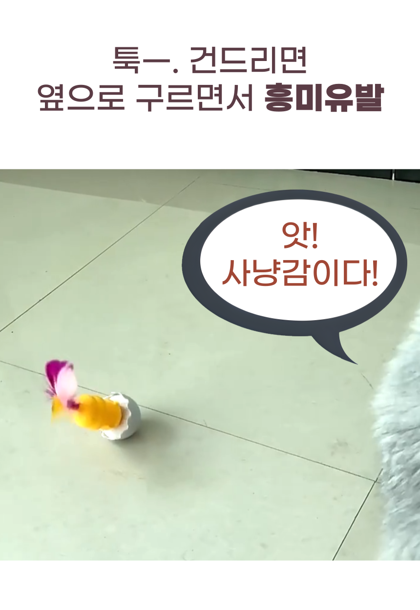 [무료배송] 알뜰펫 오뚜기 장난감 7번째