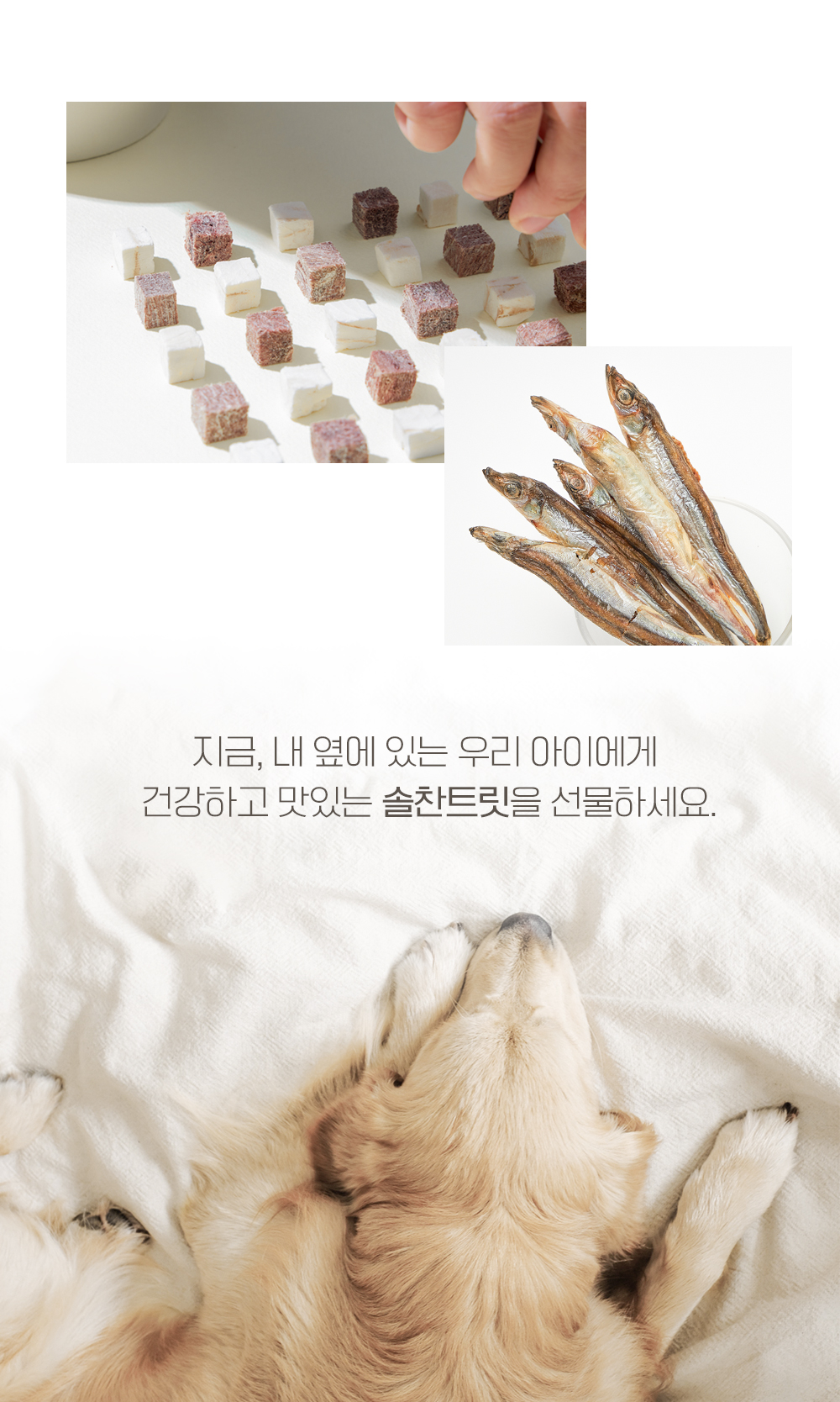 [무료배송] 온날 솔찬트릿 동결건조 열빙어 60g 12번째