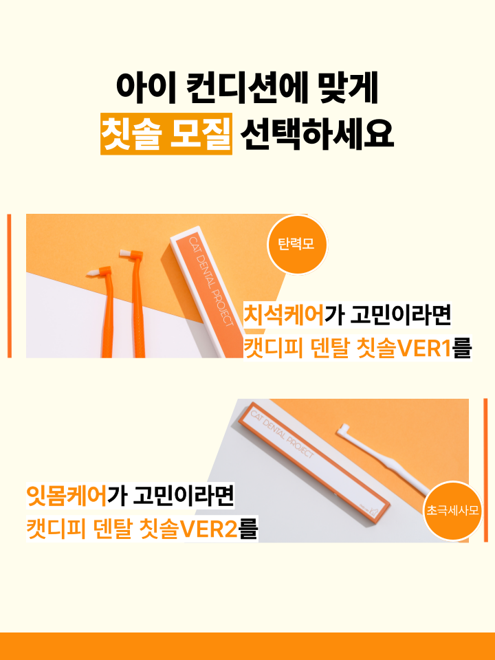[NEW신상][무료배송] 캣디피 초극세사모 덴탈 칫솔ver2 58번째