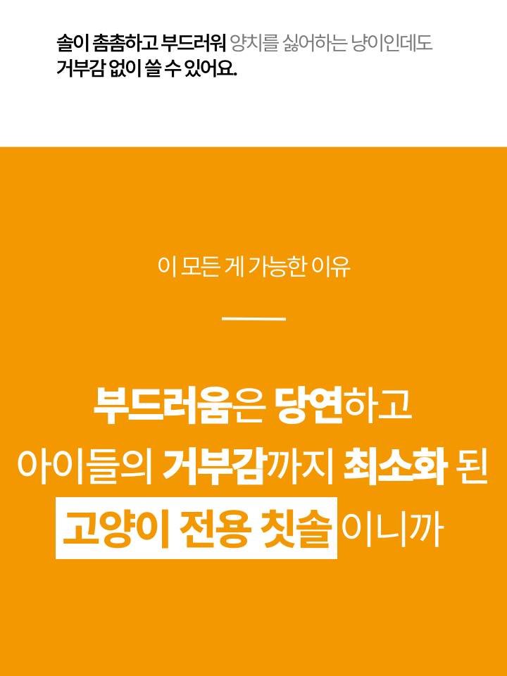 [NEW신상][무료배송] 캣디피 초극세사모 덴탈 칫솔ver2 22번째