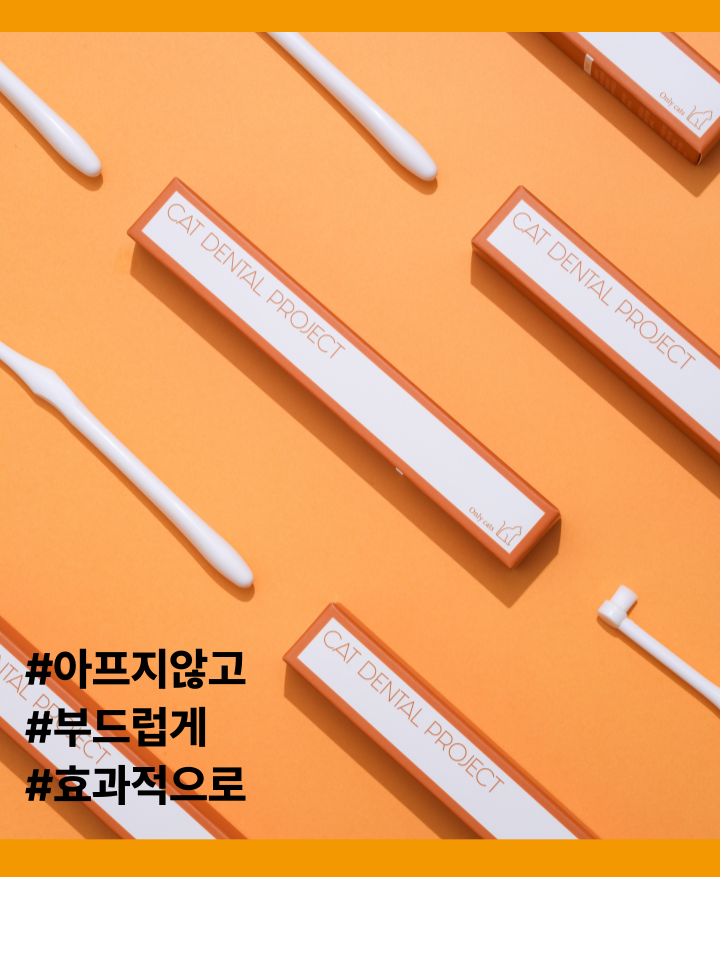 [NEW신상][무료배송] 캣디피 초극세사모 덴탈 칫솔ver2 10번째