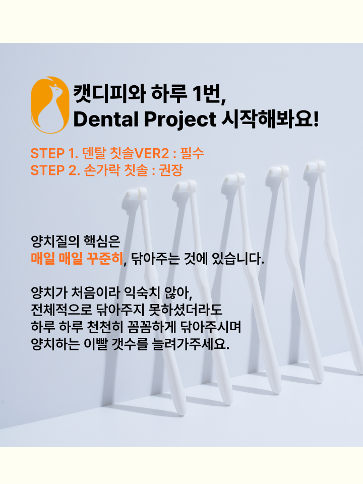 [NEW신상][무료배송] 캣디피 초극세사모 덴탈 칫솔ver2 44번째