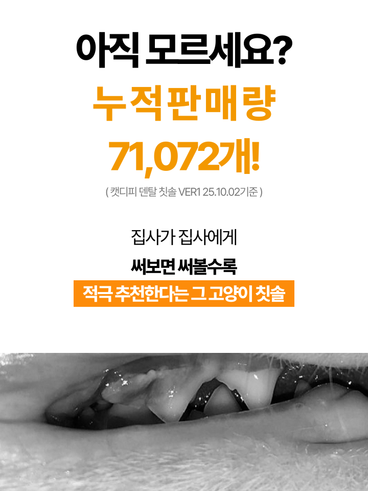[NEW신상][무료배송] 캣디피 초극세사모 덴탈 칫솔ver2 13번째