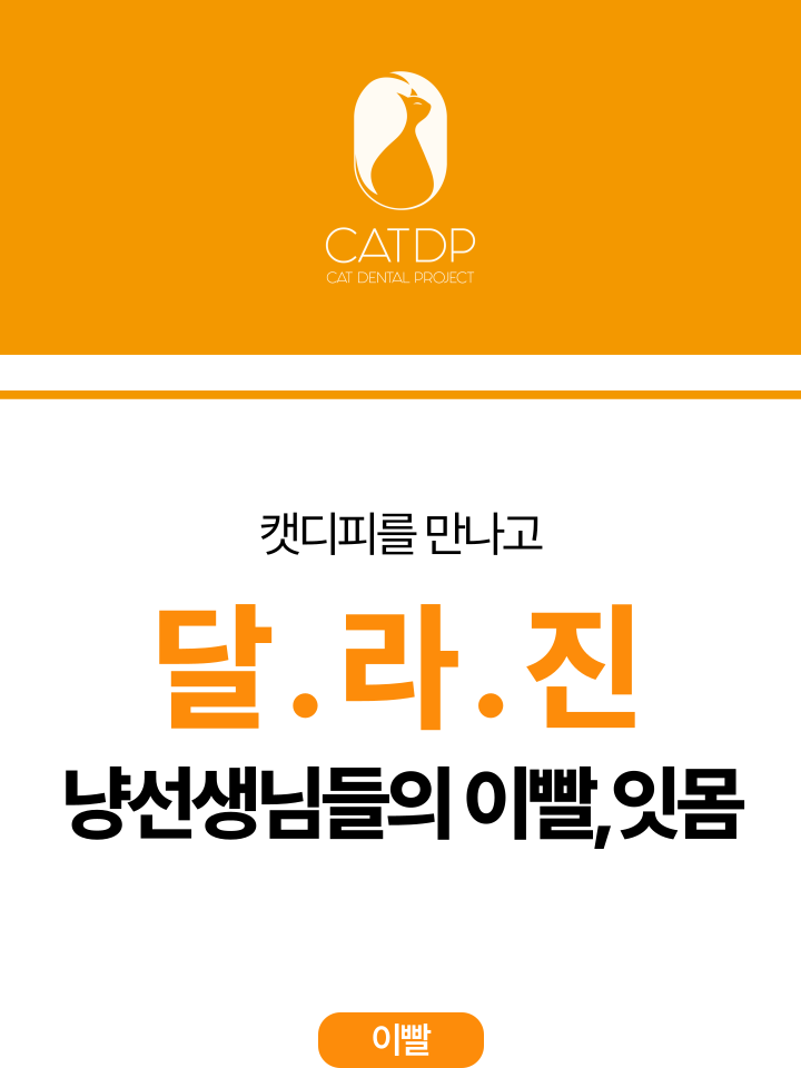 [NEW신상][무료배송] 캣디피 초극세사모 덴탈 칫솔ver2 18번째