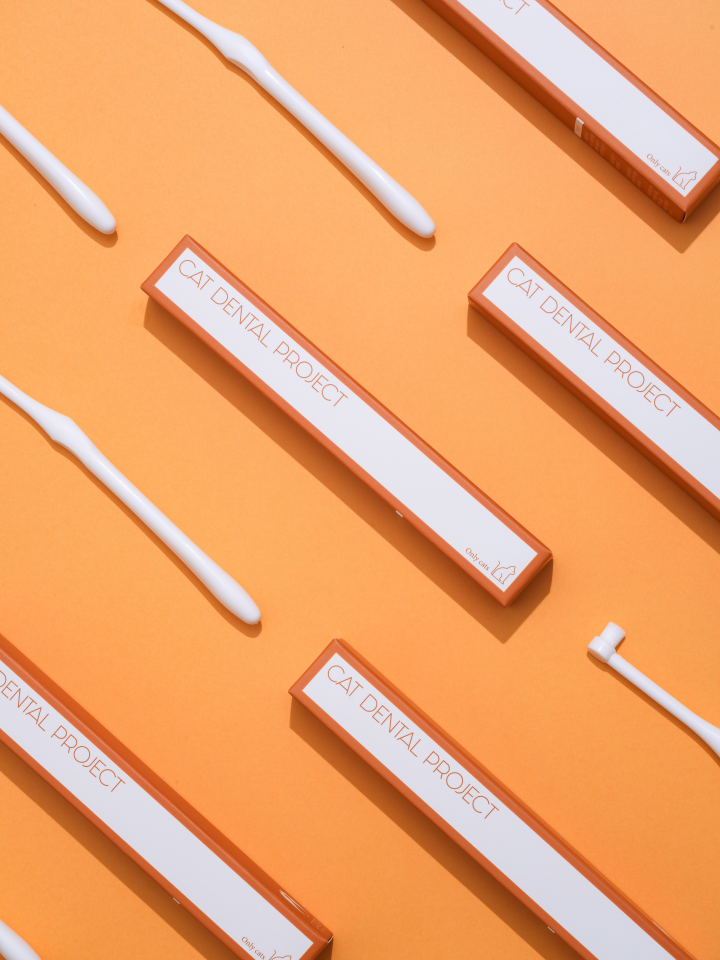 [NEW신상][무료배송] 캣디피 초극세사모 덴탈 칫솔ver2 5번째