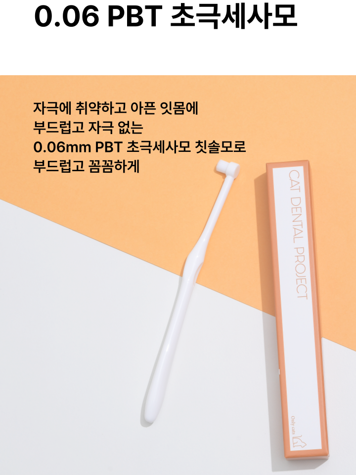[NEW신상][무료배송] 캣디피 초극세사모 덴탈 칫솔ver2 47번째