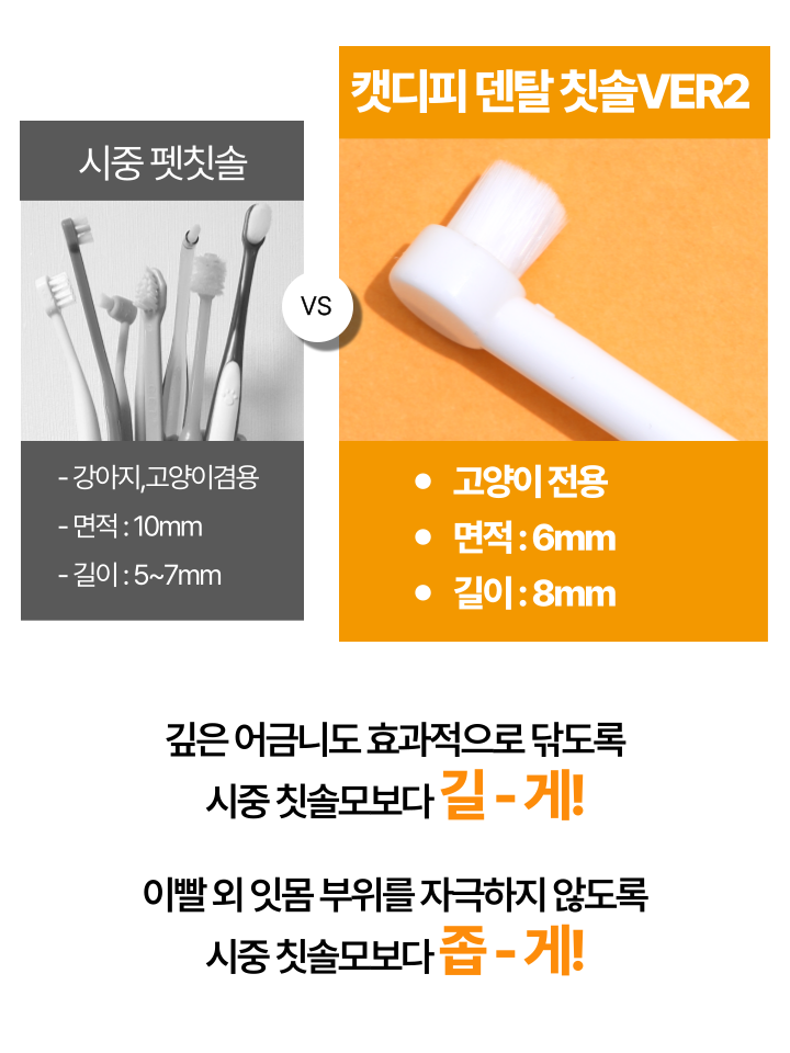 [NEW신상][무료배송] 캣디피 초극세사모 덴탈 칫솔ver2 34번째