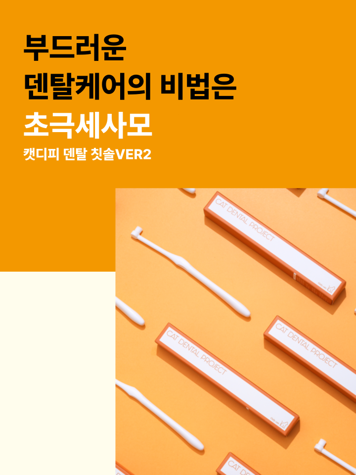 [NEW신상][무료배송] 캣디피 초극세사모 덴탈 칫솔ver2 55번째