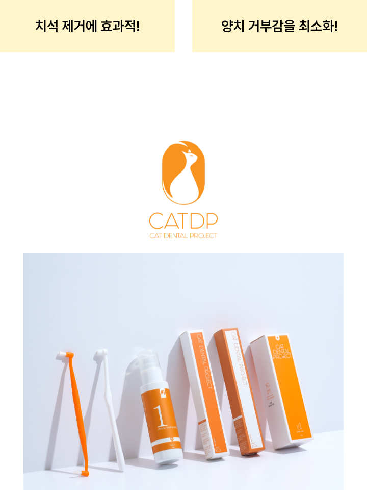 [NEW신상][무료배송] 캣디피 초극세사모 덴탈 칫솔ver2 2번째